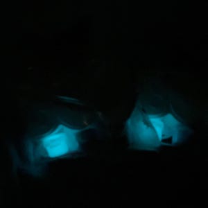 May include: Two objects with a glowing, bright turquoise interior are set against a black background. The objects appear to be wrapped in a translucent material, creating a soft, ethereal glow.