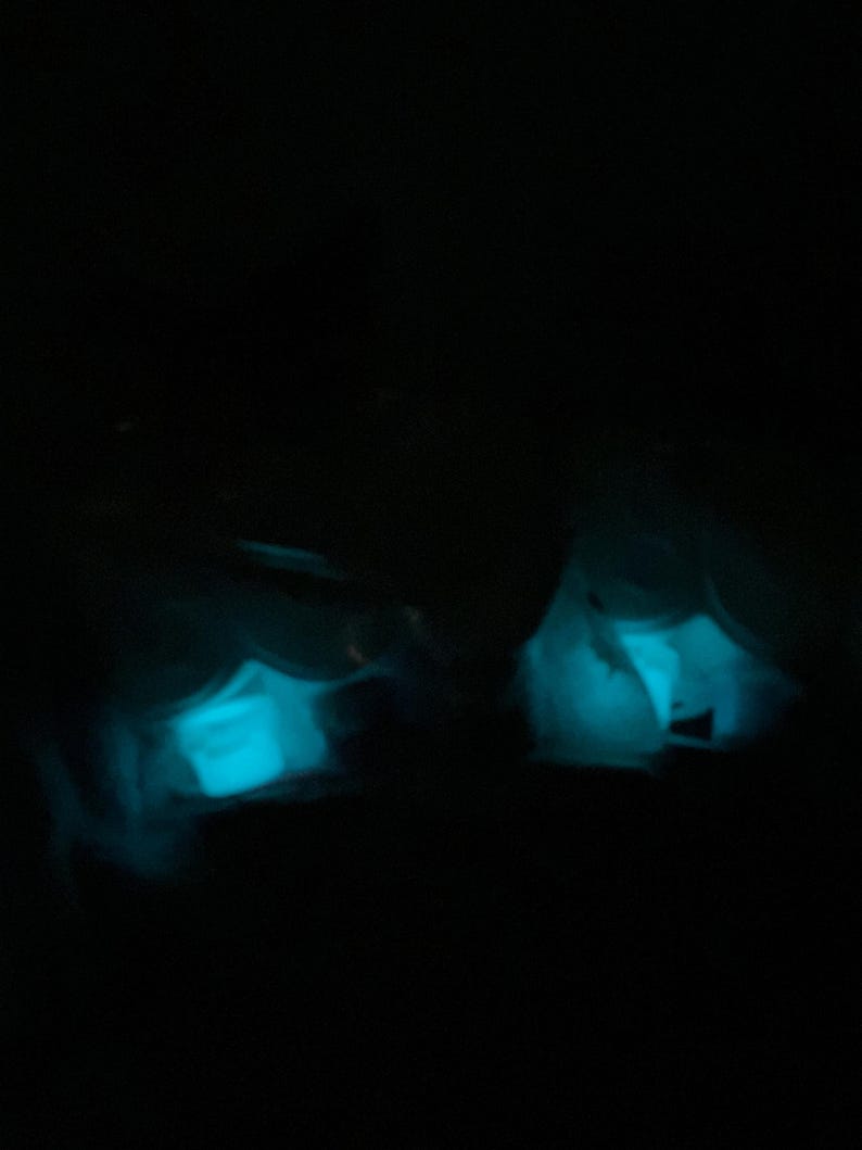 May include: Two objects with a glowing, bright turquoise interior are set against a black background. The objects appear to be wrapped in a translucent material, creating a soft, ethereal glow.