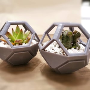 Può includere: Due vasi geometrici grigi con piante grasse. I vasi sono realizzati in materiale stampato in 3D e hanno un design unico e moderno.