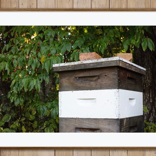 Rustic Beehive Photography Giclée Fine Art Print Beekeeping Minimalist Naturalist Earthy Primitive Country Distressed Rural Vintage Decor