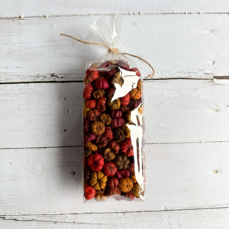 Puede incluir: Una bolsa de pl&aacute;stico transparente llena de peque&ntilde;as calabazas secas de color naranja, rojo y marr&oacute;n. La bolsa est&aacute; atada con una cuerda.