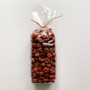 May include: A clear cellophane bag filled with small, orange and brown decorative pumpkins. The pumpkins vary in size and shade, creating a rustic fall aesthetic. The bag is tied with twine at the top.