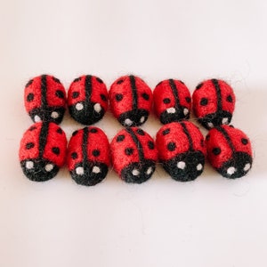 Peut inclure: Dix coccinelles en feutre rouge et noir avec des points blancs. Les coccinelles sont disposées en deux rangées de cinq.