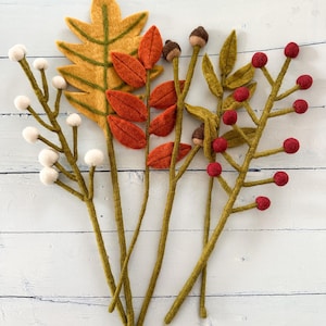 Peut inclure: Un ensemble de cinq tiges botaniques en feutrine comprenant une grande feuille de chêne jaune, une branche à baies blanches, une branche à feuilles orange, une branche à glands marron et une branche à baies rouges, sur tiges vertes.