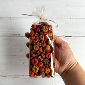 Può includere: Un sacchetto di plastica trasparente pieno di mini zucche secche colorate. Le zucche sono in tonalità di arancione, rosso e marrone. Il sacchetto è legato con uno spago e tenuto in una mano.