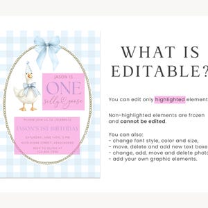 May include: A digital birthday invitation template featuring a light blue gingham background, a gold oval frame with a blue bow, and a watercolor goose wearing a party hat. Pink boxes highlight editable text areas for event details and name.