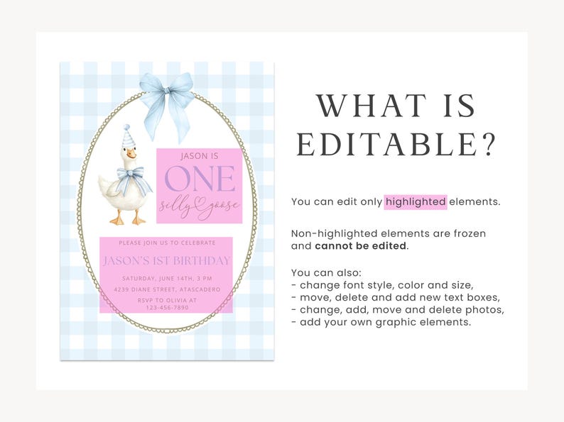 May include: A digital birthday invitation template featuring a light blue gingham background, a gold oval frame with a blue bow, and a watercolor goose wearing a party hat. Pink boxes highlight editable text areas for event details and name.