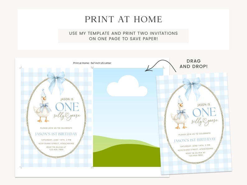 May include: A printable birthday invitation template featuring a light blue gingham background, a central oval frame with a gold rope border, a blue bow, and a goose wearing a party hat. Text reads: JASON IS ONE silly goose, JASON'S 1ST BIRTHDAY.