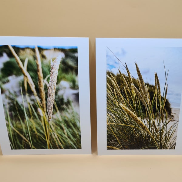 Bilddruck, Dühnengraß, Portrait, Borkum,Dekoratives Bild, Dünengras  am Meer, Fotografie, Foto ohne Rahmen, Dekoratives Bild, Strandbild