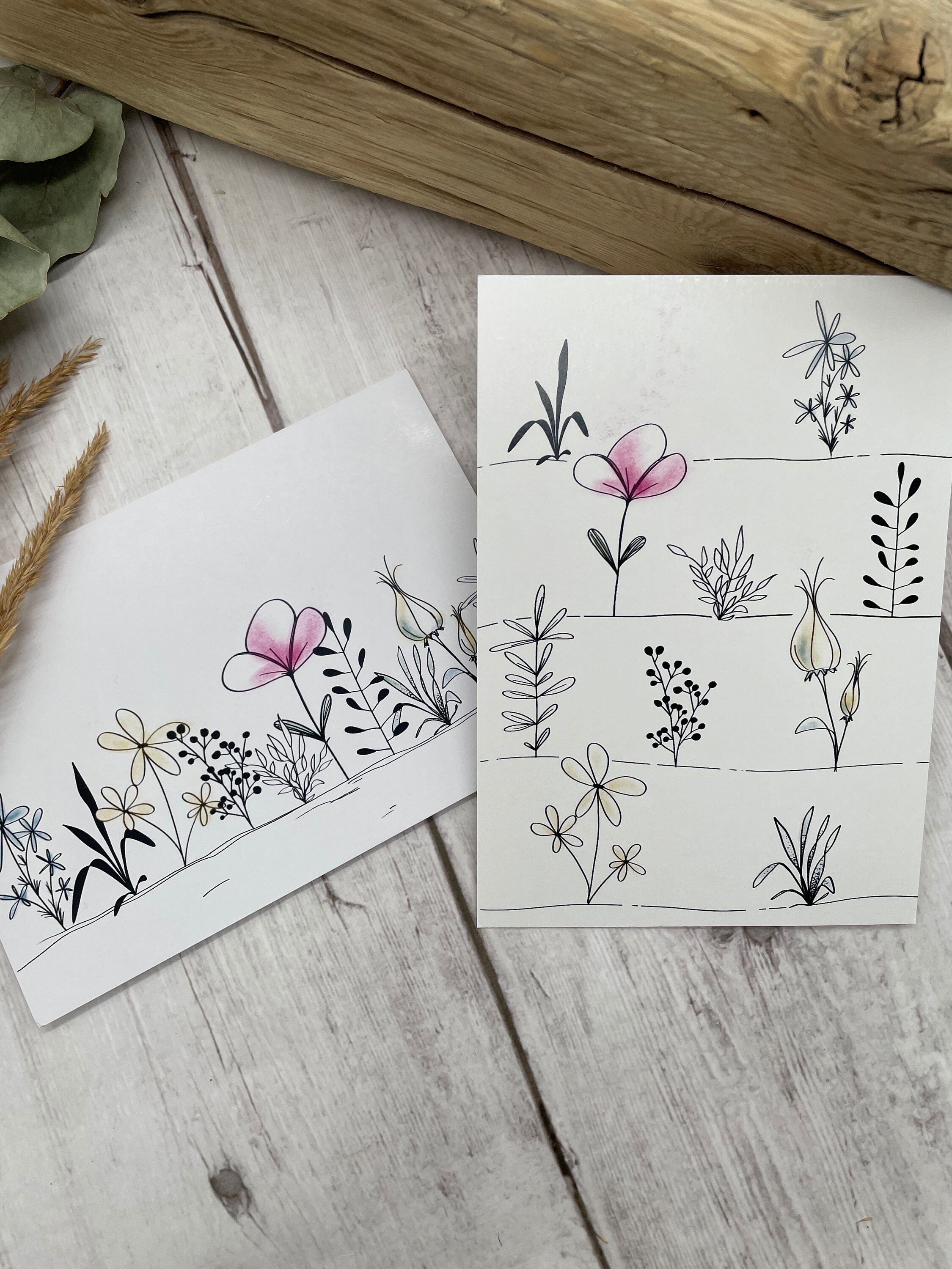 Say it with flowers! Postcards, individually or in sets