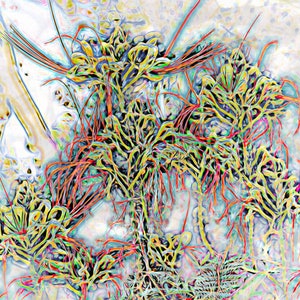 May include: Abstract digital art featuring a vibrant, colourful, and intricate design of swirling lines and shapes in shades of red, yellow, green, and blue.