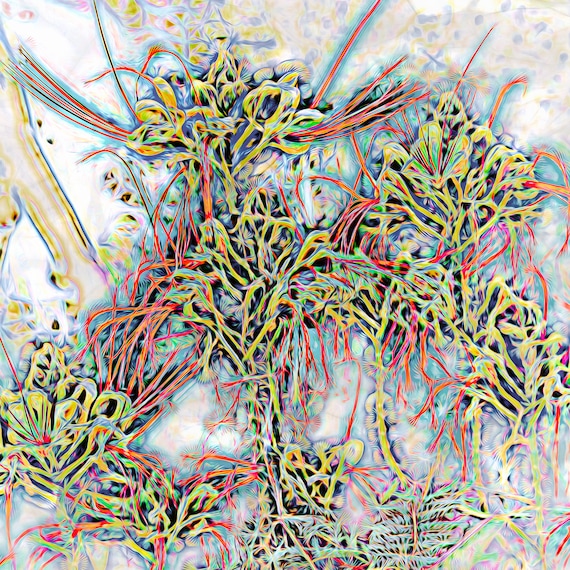 Image of future Covid 25 virus.