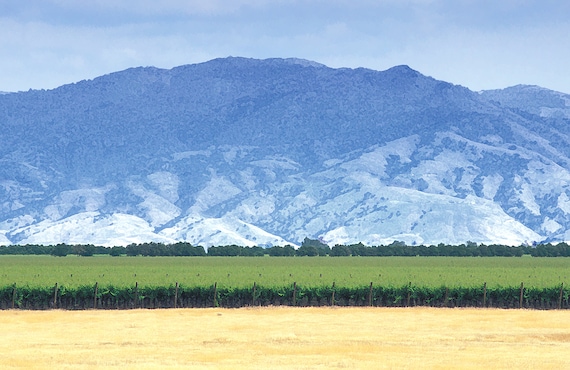 Hazy vista across farmland in the San Joaquin Valley in California.