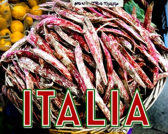 Poster of Borlotti Romano beans for sale at market, Bologna, Italy, spring, 2017.