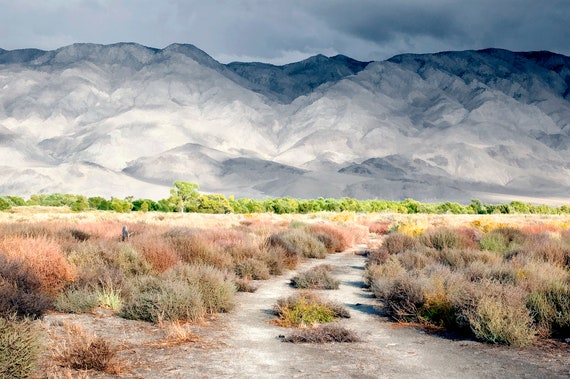 Dirt road to the Owens River in the fall, with the White Mountains in the background.