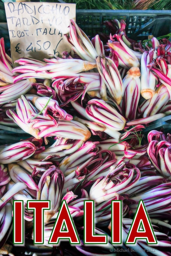 Poster of Radicchio for sale in Florence market, Italy, 2017.