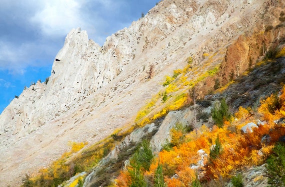 Granite gravel slope and fall foliage, CA.