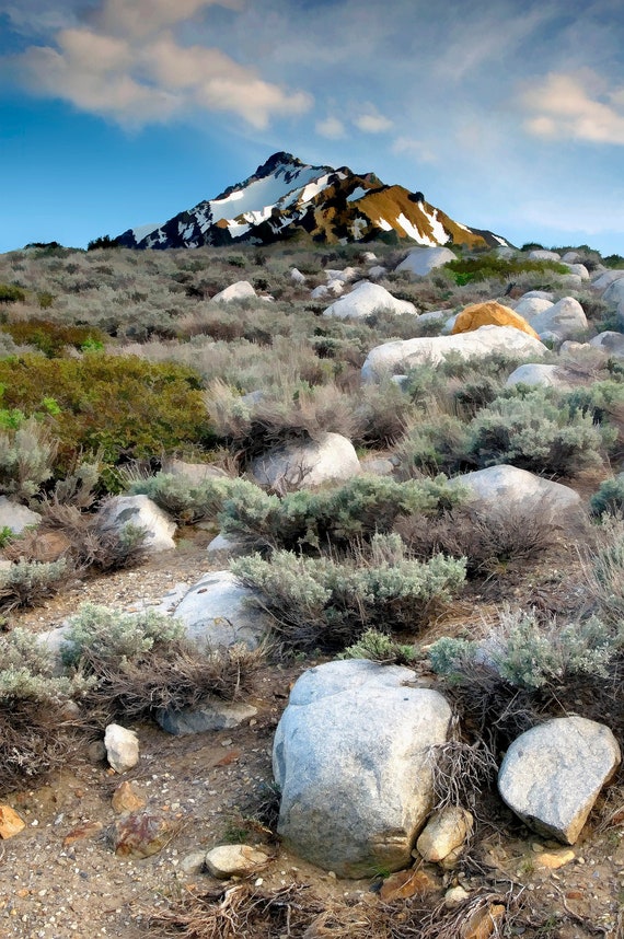 Uphill view to Mt. McGee in the Sierra Nevada, CA.