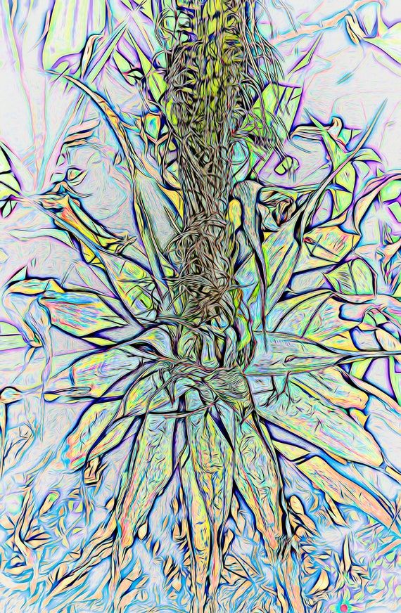 Mysterious Venusian plant.