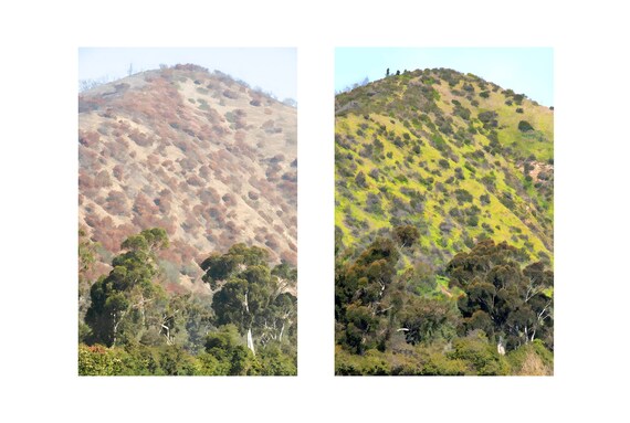 Beacon Hill in Griffith Park, Los Angeles - two views.