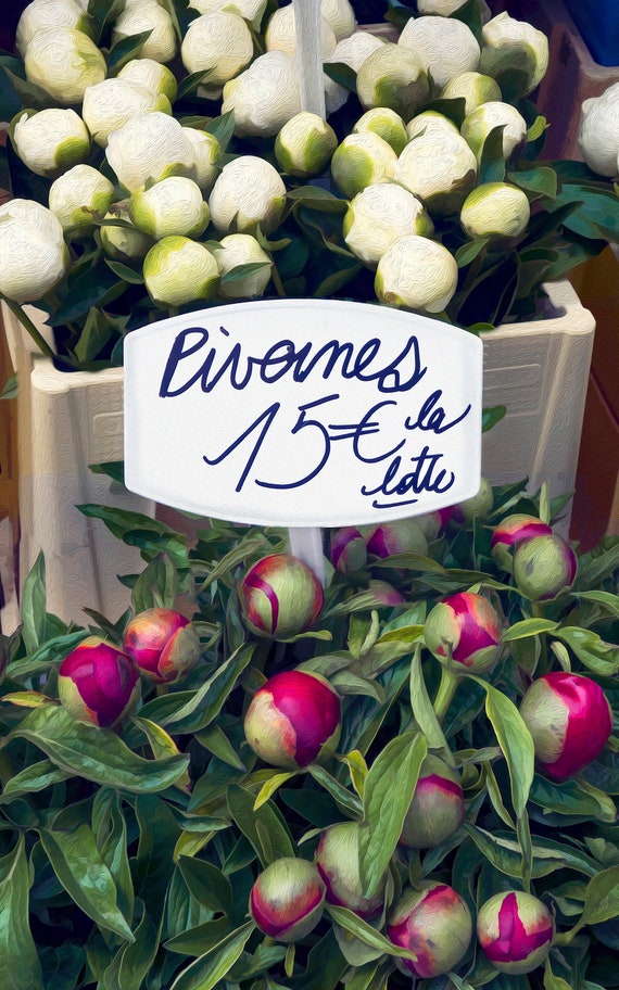 Photo of peonies for sale at flower stall in Paris, France.