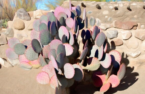 Purple prickly pear cactus and adobe, Arizona.