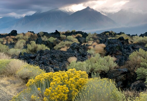 Evening falls on the Eastern Sierra Nevada in California, with old lava and desert brush.