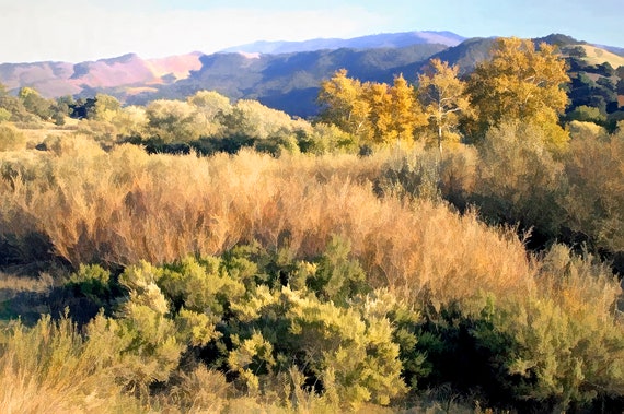 Santa Ynez valley, mountains and brush in summer, CA.