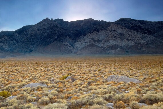 Sierras and sunset in the Owens Valley.