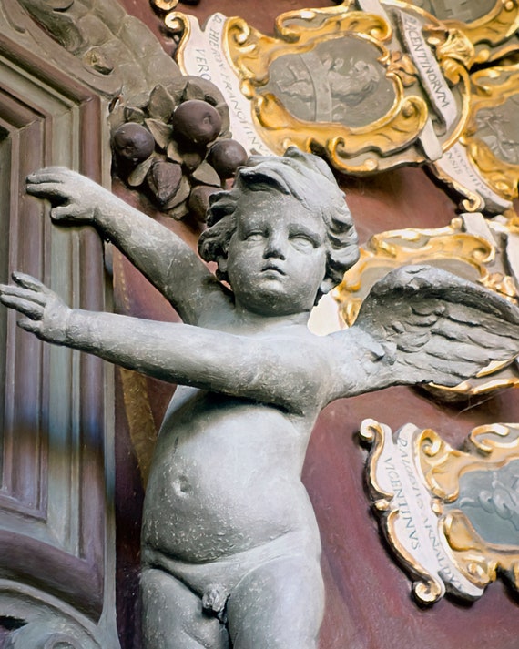 Putto angel in Bologna University.
