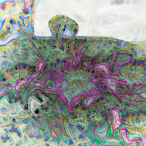 Image of future Covid 26 virus.