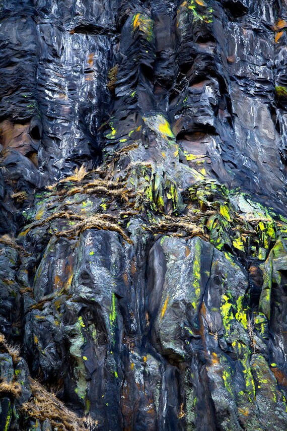 Granite walls of the Columbia River Gorge with fall moss