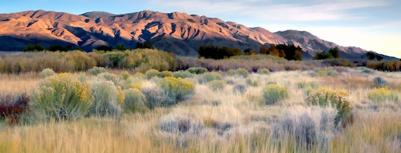 Twilight in the Owens Valley, CA.