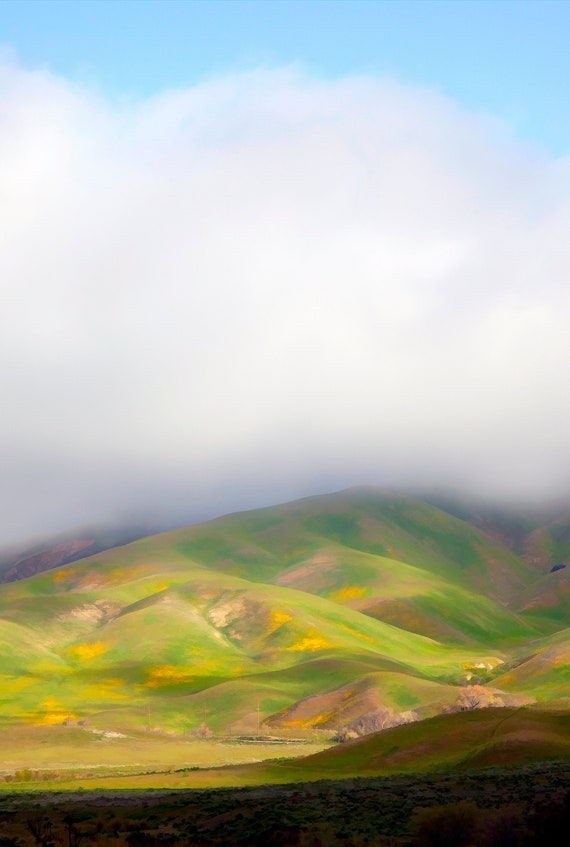 Fog caps spring hills with wildflowers near Gorman, CA.