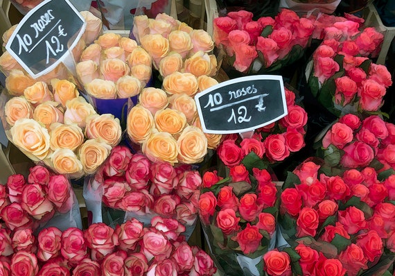 Photo of roses for sale from a street vendor, Paris.