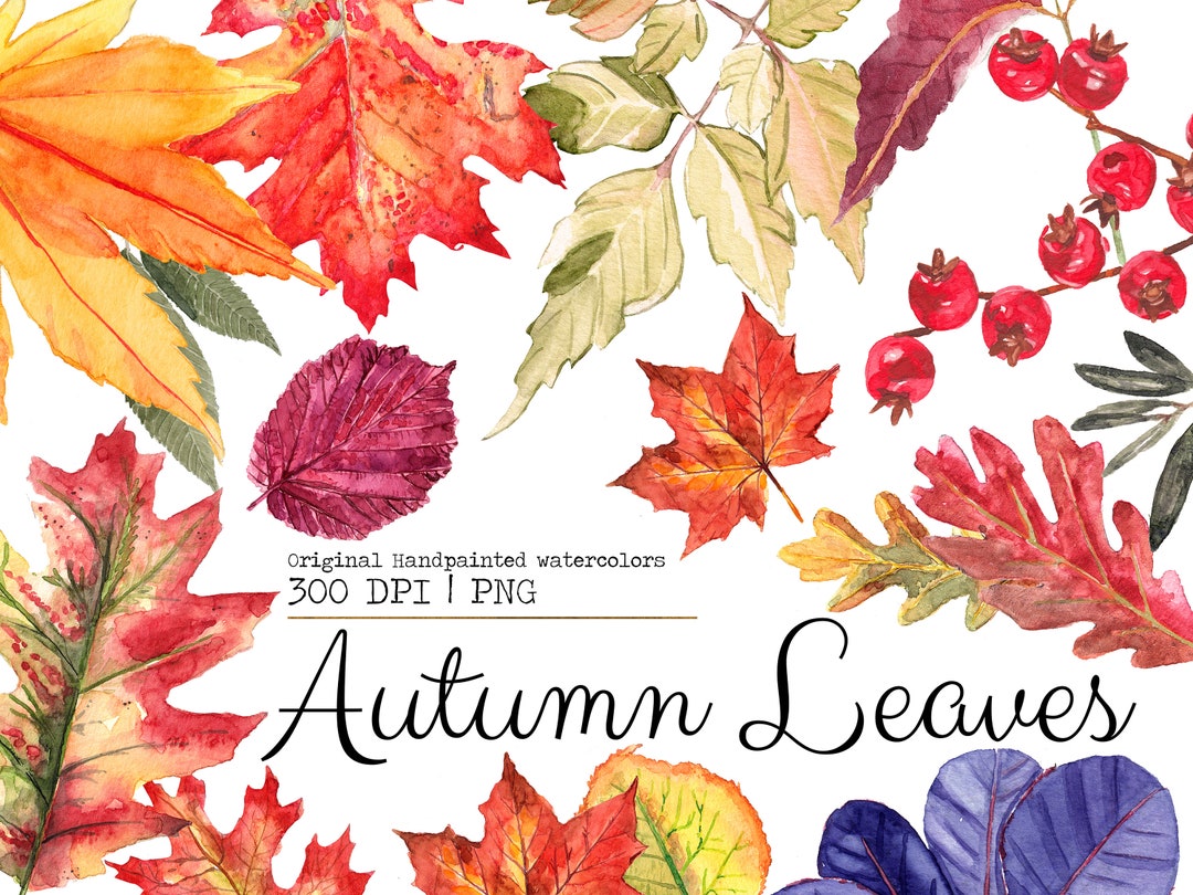 Autumn Watercolor Leaves Fall Leaves Clipart Fall Leaf - Etsy
