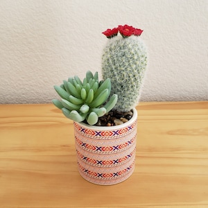 Southwest Artificial Cactus/Succulent Arrangement, Southwest Succulent Arrangement, Artificial Cactus Decor, Faux Succulent in Western Pot