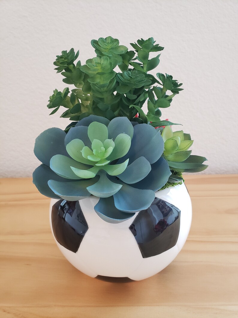 Soccer Ball Ceramic Pot With Artificial Succulents Soccer Etsy