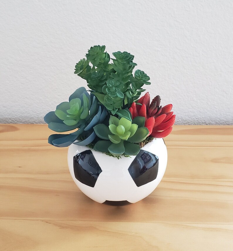 Soccer Ball Ceramic Pot With Artificial Succulents Soccer Etsy