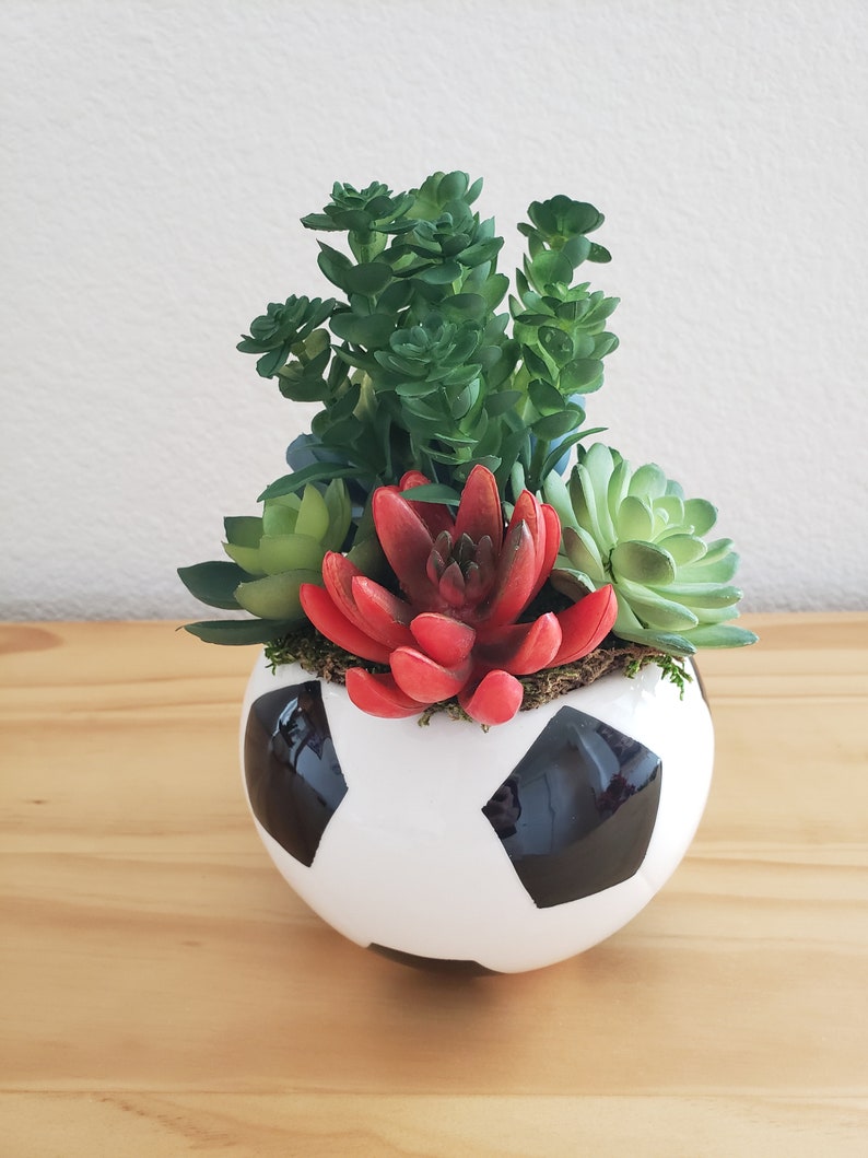 Soccer Ball Ceramic Pot With Artificial Succulents Soccer Etsy