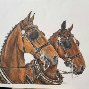 Caballos de carruaje de caballos británicos, Giclée, impresión artística de edición limitada, caballos elegantes, arte mural de caballos, regalo de caballos, decoración del hogar