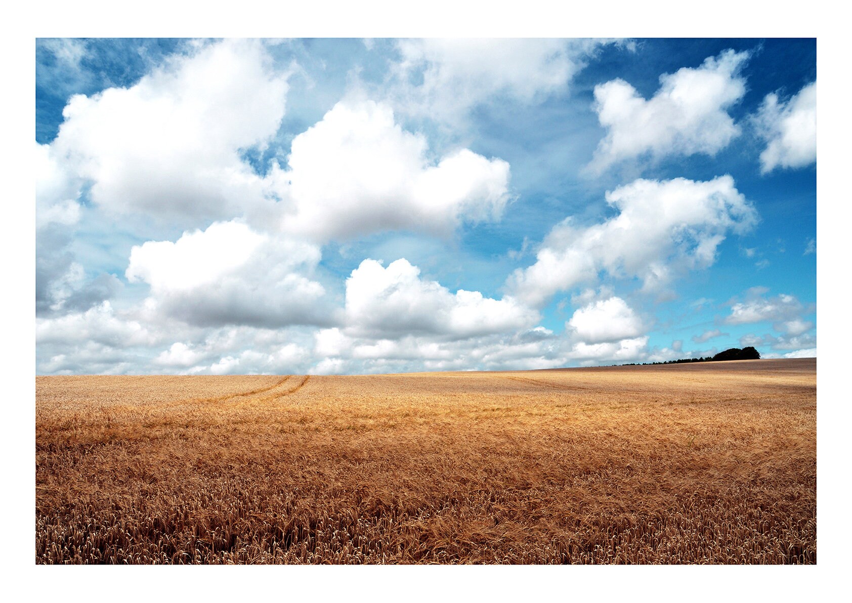 Landscape Photo Print Landscape Photograph Wall Art Home | Etsy