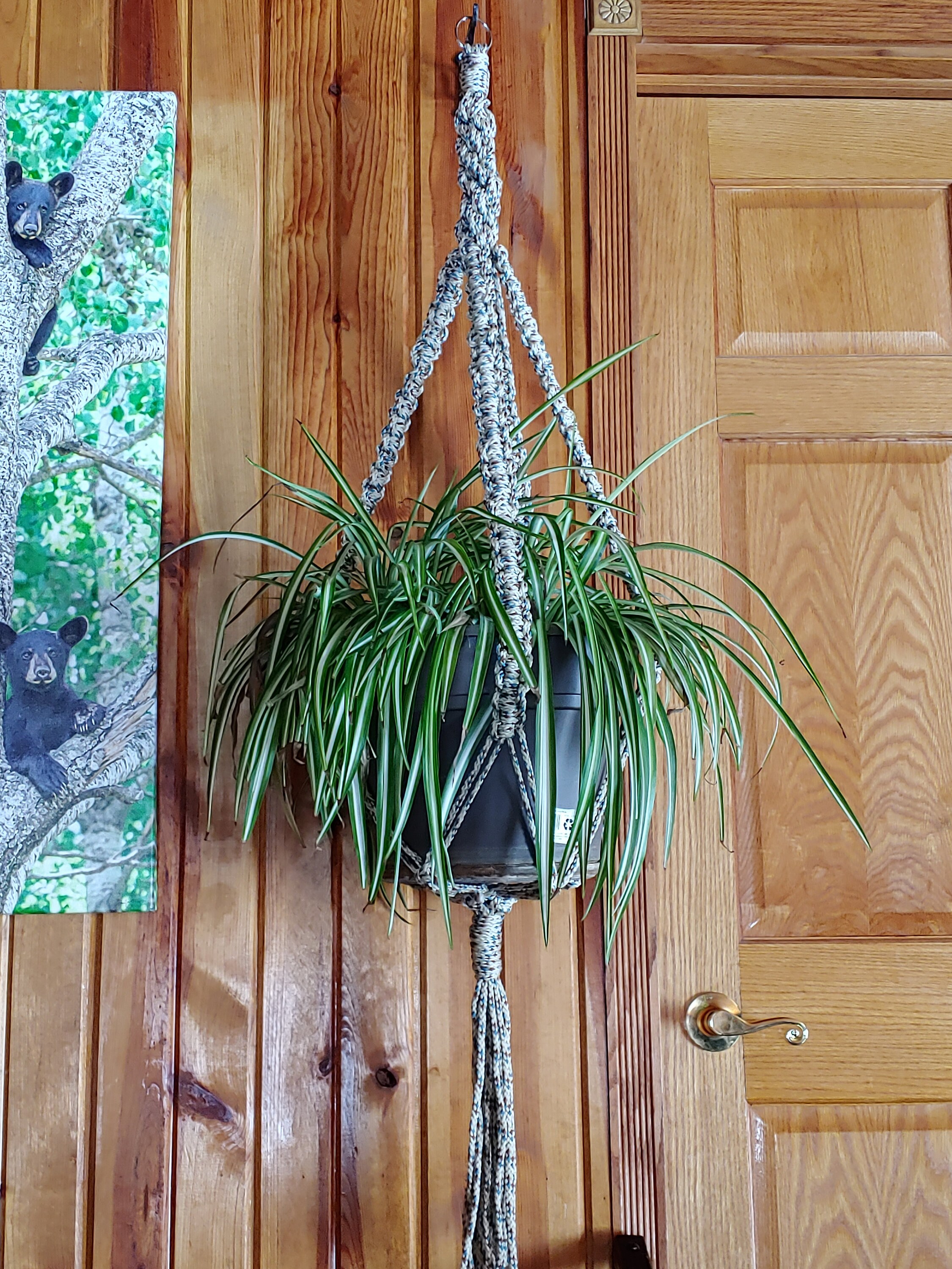 Macrame' Chinese Crown Knot Plant Hanger Etsy