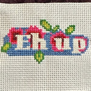 May include: Cross-stitch embroidery of the word "ECHO" in pink, blue, and white letters with green leaves around the letters.