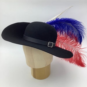 Musketeer with feather mout