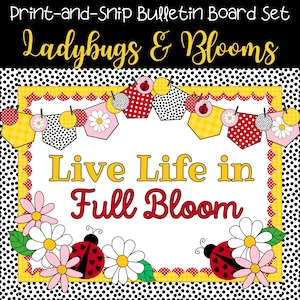 Conjunto de tablones de anuncios imprimibles, tema de mariquita y margarita, kit decorativo para maestros, decoraciones de puertas de aula, juegos de letras y borde de primavera