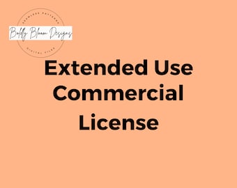 Extended License-One Pattern