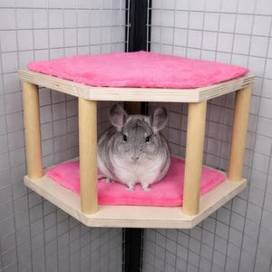 Hoekplank chinchilla: houten kooirichel om te springen