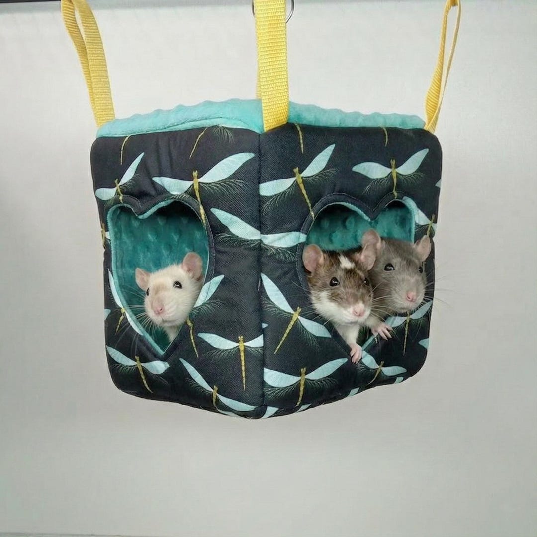 Cozy Rat Cube Hideout – Soft Fleece Shelter for Cage - Etsy
