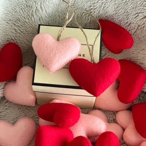 Valentine Heart Ornaments: Set of Two, Love Decor